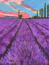 Load image into Gallery viewer, Lengths of lavender stretch out in front up a hill towards tall poplar trees with a pink sunlit sky above.
