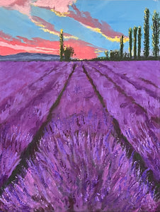 Lengths of lavender stretch out in front up a hill towards tall poplar trees with a pink sunlit sky above.