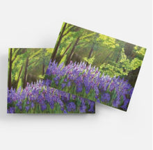 Load image into Gallery viewer, Card - Sunlit Bluebells