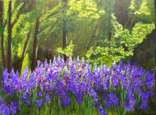 Load image into Gallery viewer, bottom half of the painting is covered in blue purple and pinky Bluebells   sunlight streams in through the trees to light up the tips of the bluebells wiht the trees in shadow in the background beyond